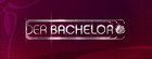 bachelor